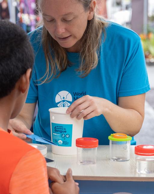 WMP release mosquito