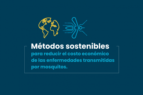 Métodos sostenibles para reducir el costo económico de las enfermedades transmitidas por mosquitos.