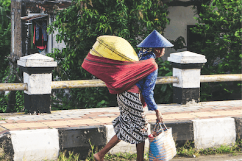 Indonesia's Nationwide Effort to Stop Dengue Indonesia's Nationwide Effort to Stop Dengue