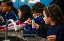 WMP’s Wolbachia method: Bringing hope and resilience to Campo Grande